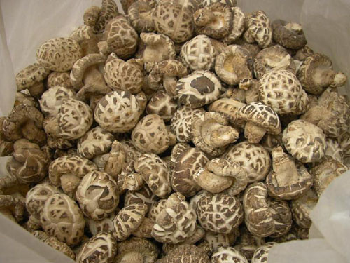 风热感冒来碗金银花山楂汤