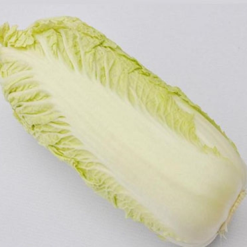 大白菜
