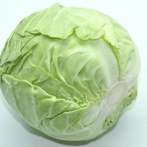 卷心菜