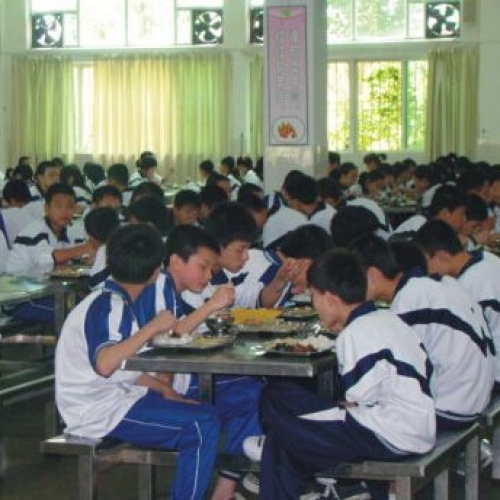 学校食堂承包